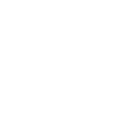 RealROI